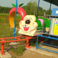 Caterpillar Rollar Coaster For Amusement Parks
